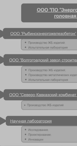 Структура ООО "ПО "Энергожелезобетонинвест"